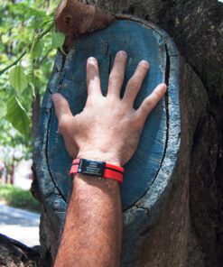 Alternative view of Performance ID Cool