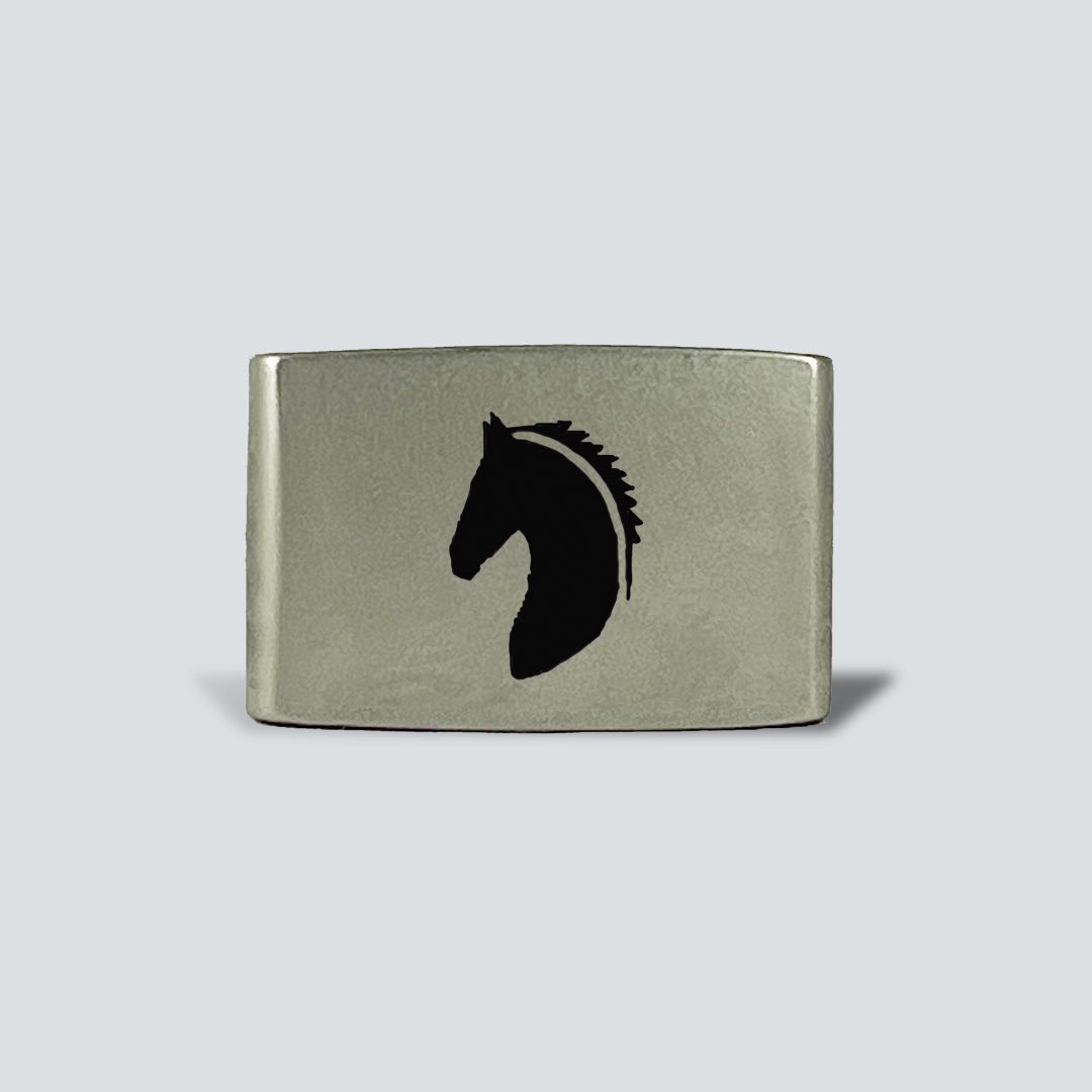 Caballo 2 - Imagen 2