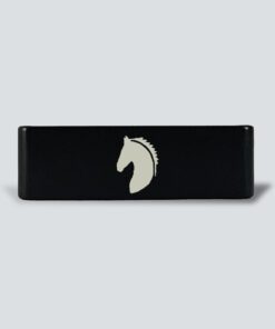 Caballo 2