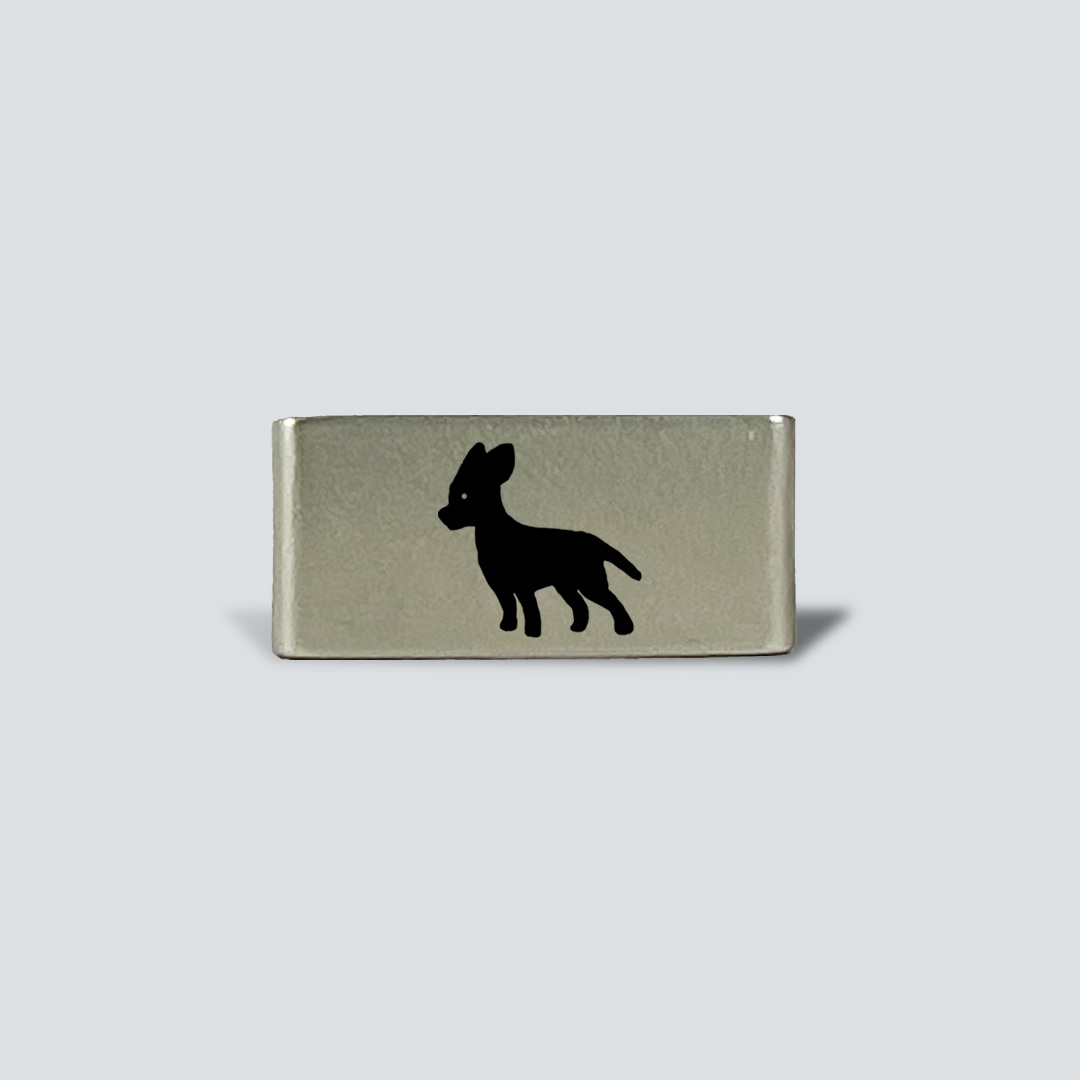 Chihuahua - Imagen 2