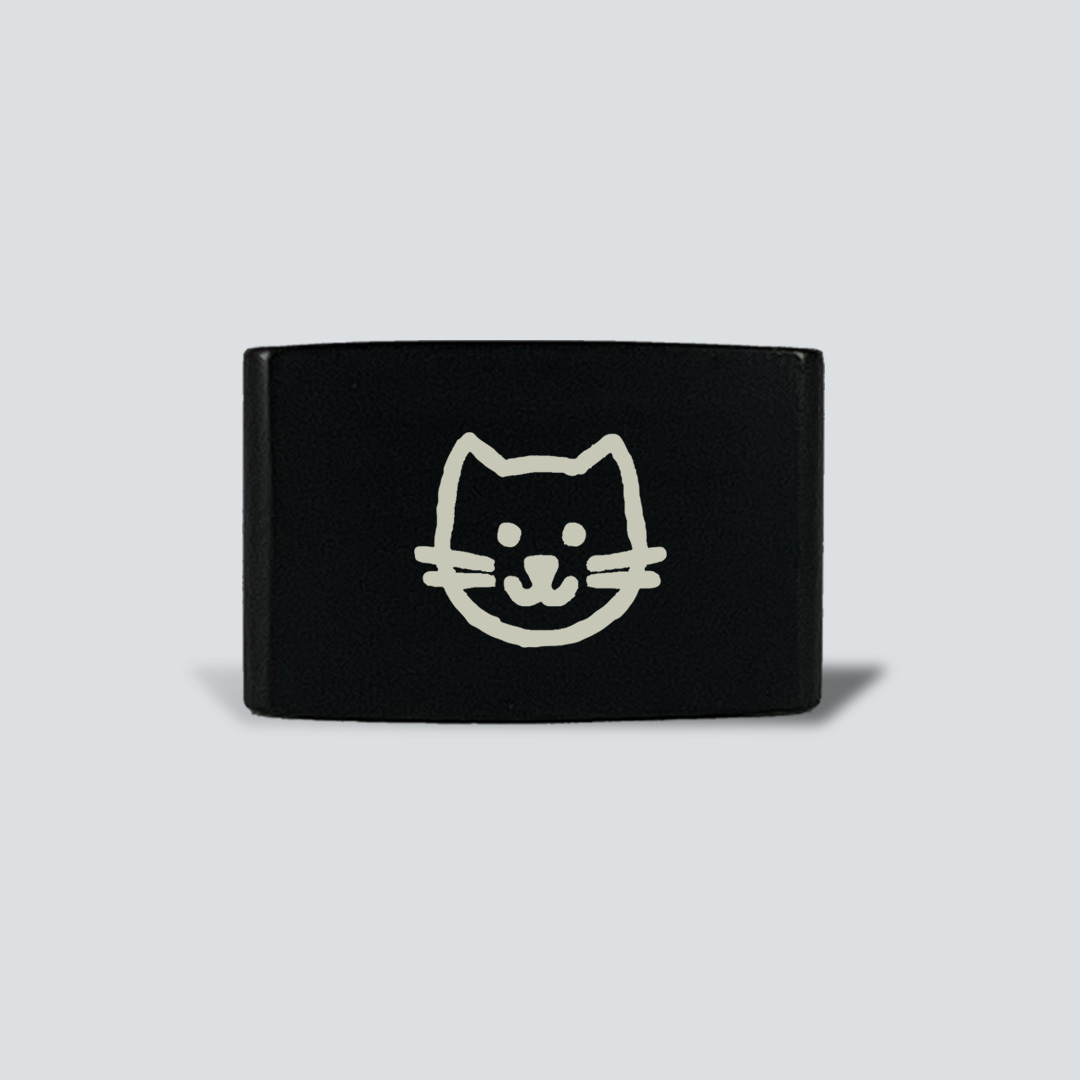 Gato